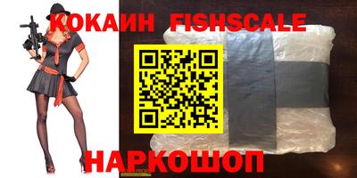 гидра Камышлов