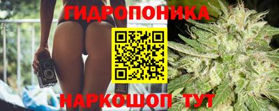 ALPHA-PVP Кандалакша