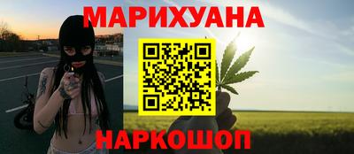 гидра Камышлов