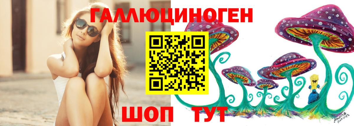 Галлюциногенные грибы ЛСД  Вход с VPN  Южноуральск  где продают наркотики  Галлюциногенные грибы Psilocybe 